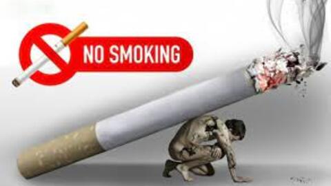 Phát động phong trào  phòng, chống tác hại của thuốc lá