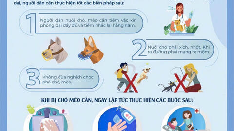 <a href="/phong-chong-dich-benh" title="Phòng chống dịch bệnh" rel="dofollow">Tin nổi bật</a>