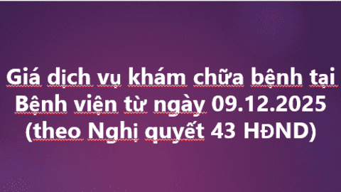 <a href="/menu-second/tin-tuc-su-kien" title="Tin tức - sự kiện" rel="dofollow">Tin nổi bật</a>