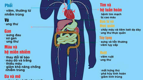 VUI XUÂN ẤT TỴ AN TOÀN – NÓI KHÔNG VỚI TÁC HẠI CỦA RƯỢU BIA